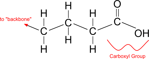 Fatty Acid