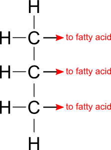 Glycerol backbone